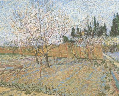 Vincent Van Gogh Orchard with Peach Trees in Blossom (nn04) oil painting picture